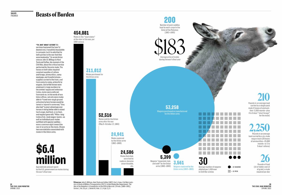 Beasts of Burden the army mule during the Civil War