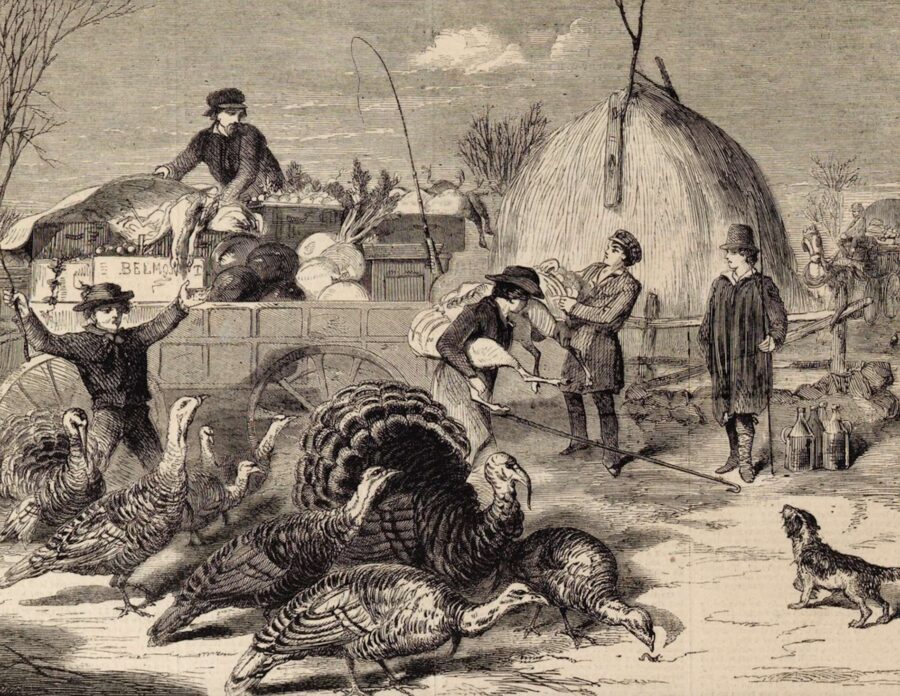 In 1858, Harper's Weekly published a series of images depicting typical (for the time) Thanksgiving scenes. The one above of men and boys gathering turkeys is captioned "Thanksgiving Day—Ways and Means."