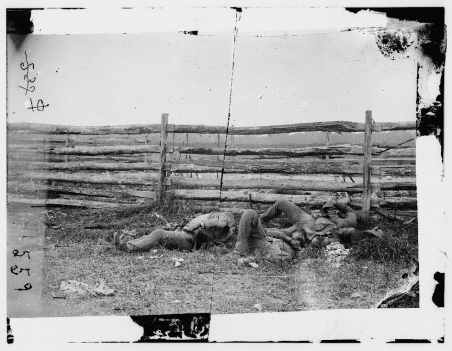 Dead of Stonewall Jackson's Brigade by rail fence on the Hagerstown pike