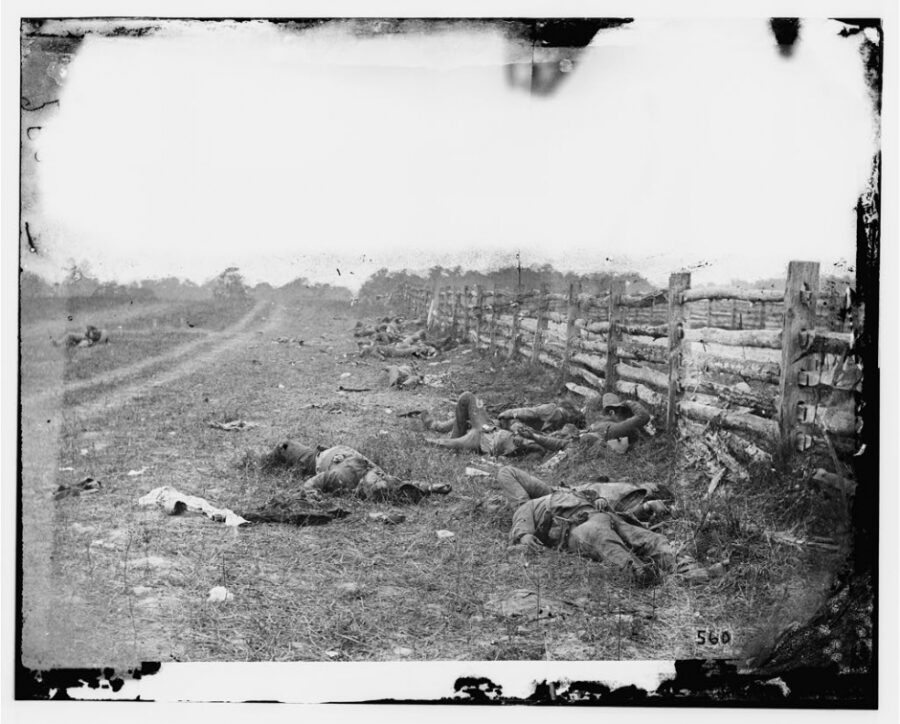 Confederate dead by a fence on the Hagerstown road 