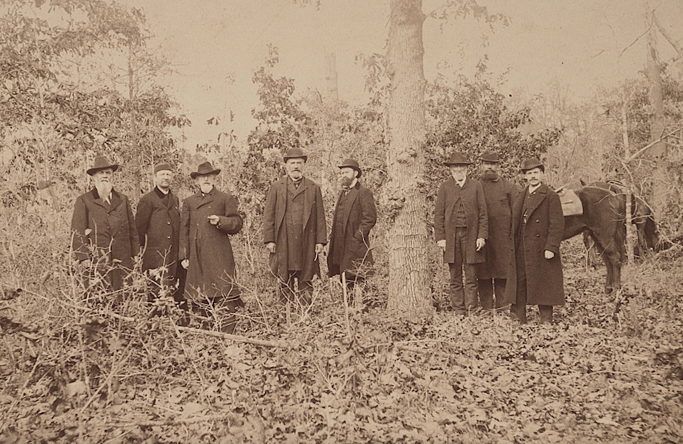 A group of ex-Union officers, including former general Benjamin Prentiss (standing right of tree), gather on the Shiloh battlefield in 1890. Prentiss is standing on the spot where he was captured at 5:30 p.m. on the Battle of Shiloh’s first day, April 6, 1862.