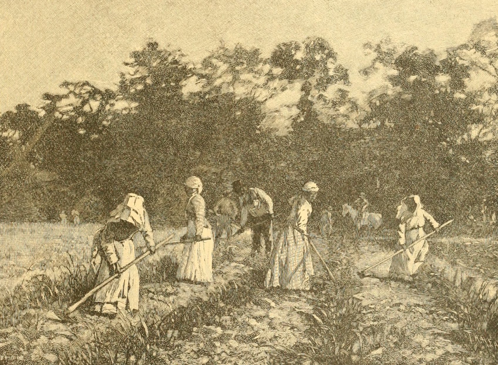 Civil War plantation