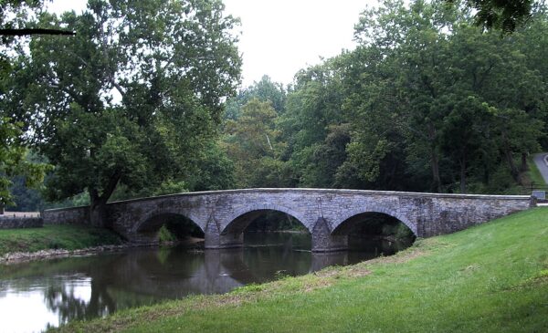 Antietam witness tree